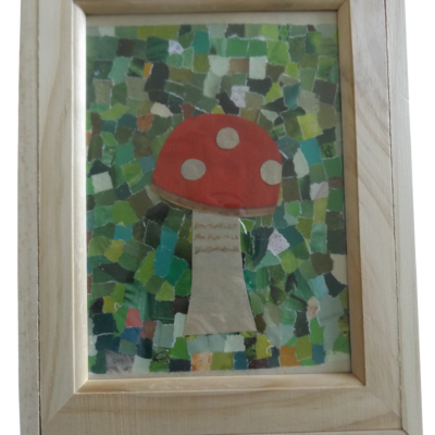 Mushroom Box